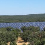 Le prix de rachat de l’électricité photovoltaïque est-il trop élevé ?