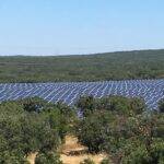 Le prix de rachat de l’électricité photovoltaïque est-il trop élevé ?